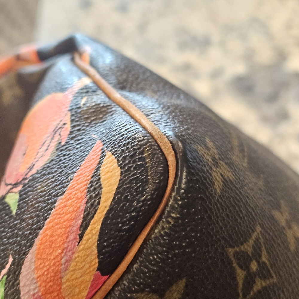 LV speedy 30 with roses - Picture 7 of 10